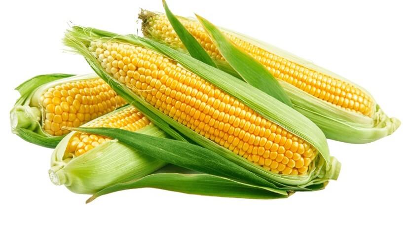 Bea maíz dulce b.jpg